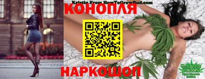 гидропоника Гусев