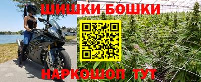 гидропоника Гусев