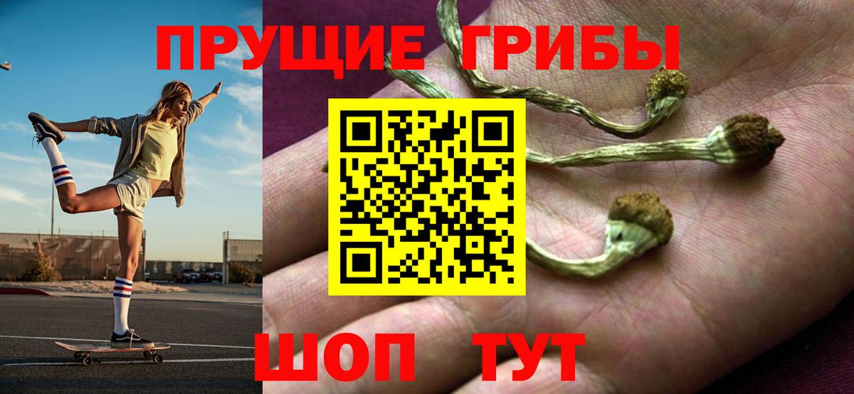 Псилоцибиновые грибы MAGIC MUSHROOMS Камышлов